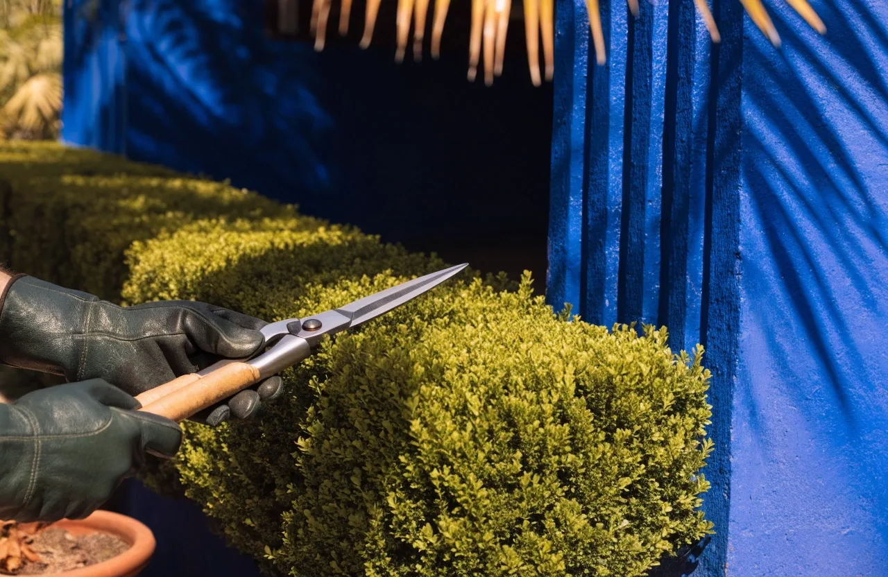 A close fragment of the cobalt blue garden wall in deep shade with a sliver of foliage
