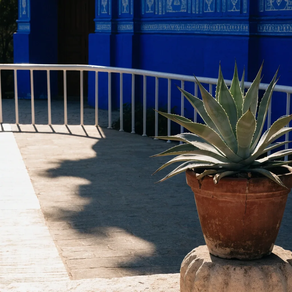 A cropped view of the cobalt wall meeting a white Art Deco railing