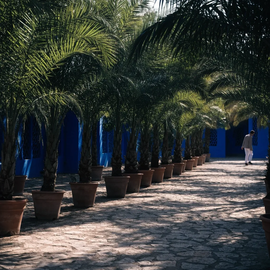 A stone path between rows of potted palms in the Majorelle Garden under dappled shade