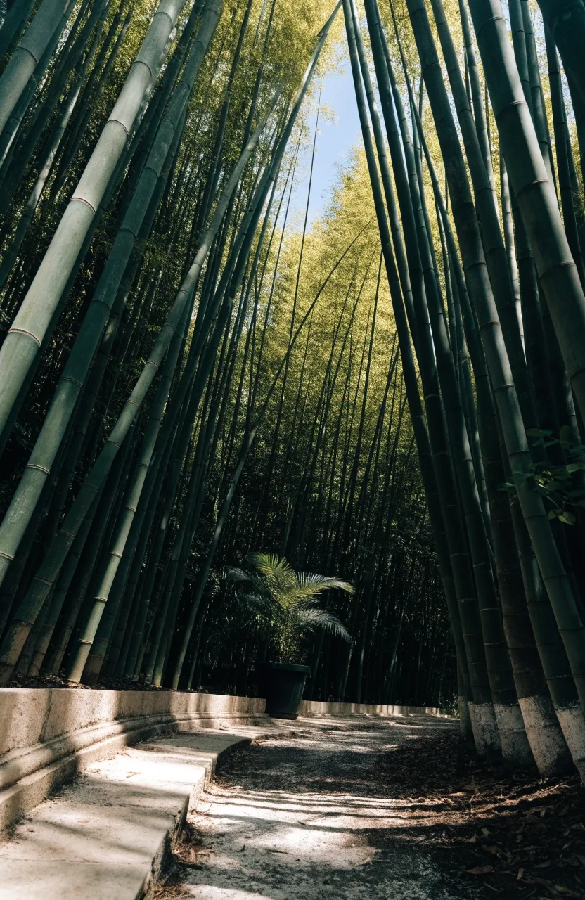 A shaded bamboo alley in the Majorelle Garden with slender green culms converging toward the sky
